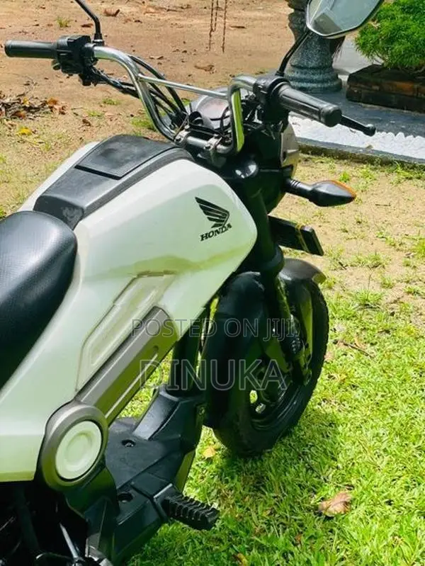 Honda Navi Onlight 2019