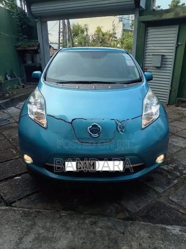 Nissan Leaf 2013