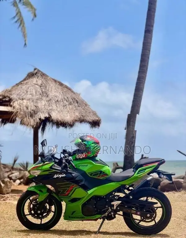 Kawasaki Ninja 250 2024