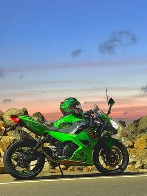 Kawasaki Ninja 250 2024