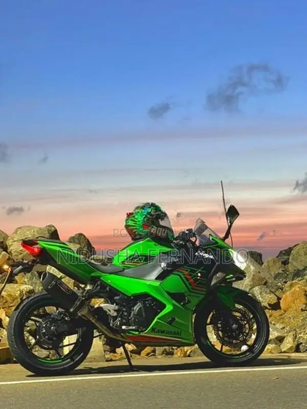Kawasaki Ninja 250 2024