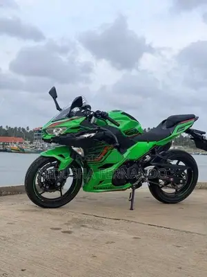 Kawasaki Ninja 250 2024