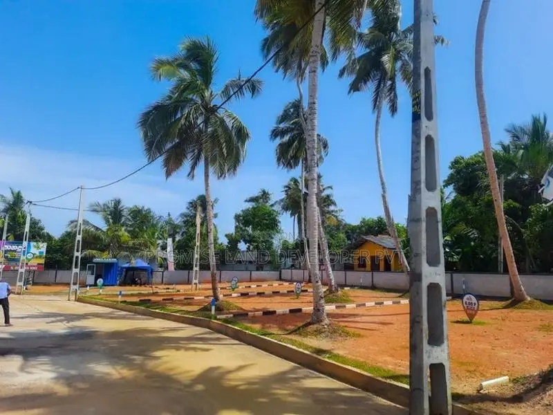 Land for Sale in walana Y31