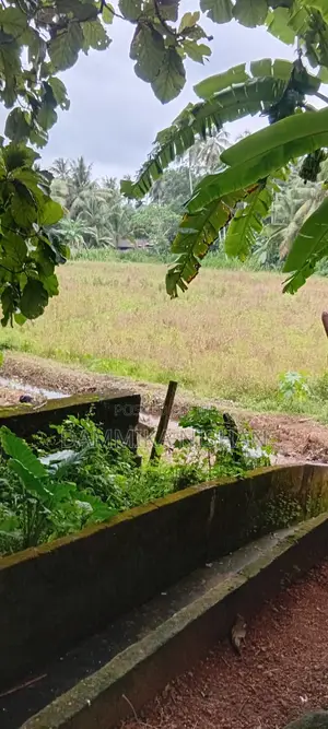 Pannipitya Nagha Mawatha Land