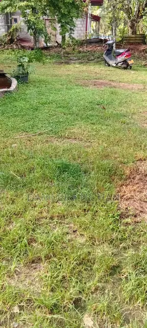 Pannipitya Nagha Mawatha Land