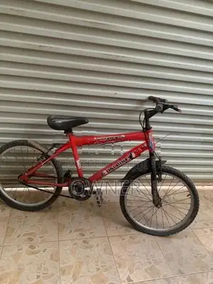 • DSI 20 Inch Kids Bicycle - Red Venom