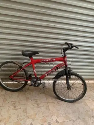 • DSI 20 Inch Kids Bicycle - Red Venom
