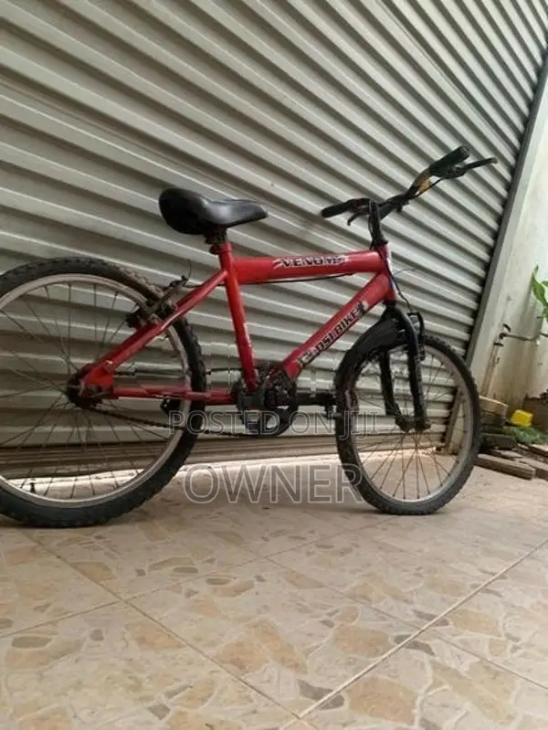 • DSI 20 Inch Kids Bicycle - Red Venom