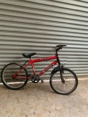 • DSI 20 Inch Kids Bicycle - Red Venom