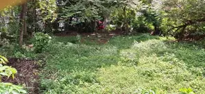 Land for Lease Dalugama, Kelaniya