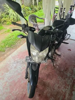 Bajaj Pulsar 135 2013