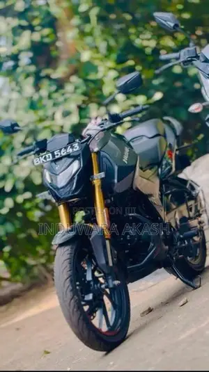 Hero Hunk 160R 2025