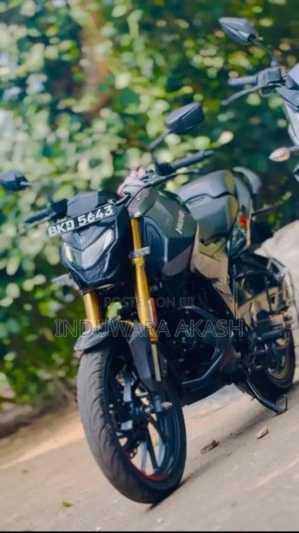 Hero Hunk 160R 2025