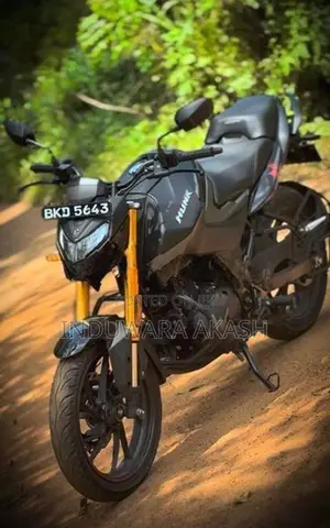 Hero Hunk 160R 2025