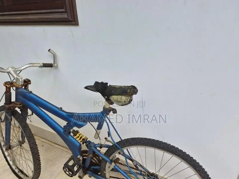Used Mountain Bike