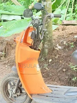 Scooty Chori Nori 2018