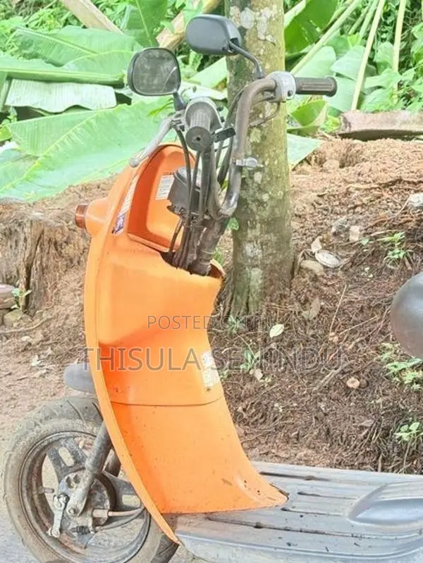 Scooty Chori Nori 2018