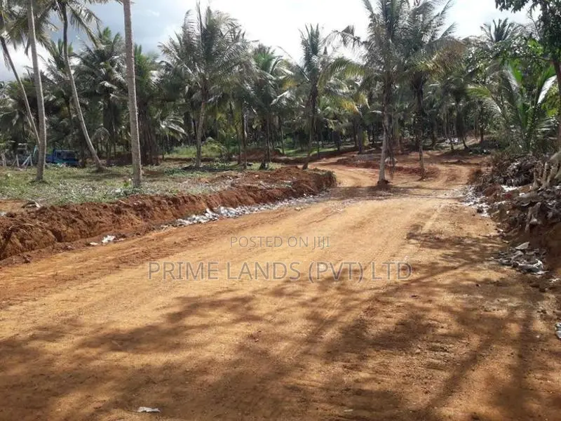 කුරුණෑගල නිස්කලංක ඉඩමක්