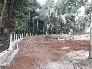 කුරුණෑගල නිස්කලංක ඉඩමක්