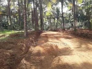 කුරුණෑගල නිස්කලංක ඉඩමක්