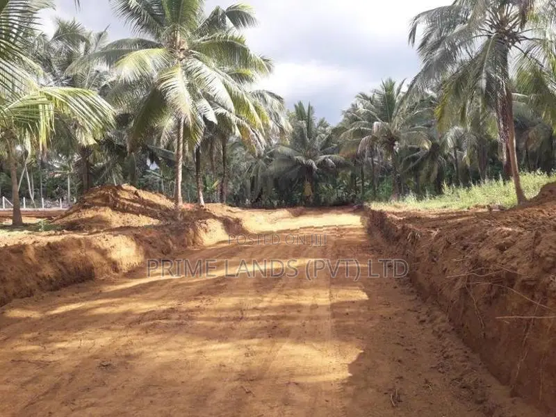 කුරුණෑගල නිස්කලංක ඉඩමක්