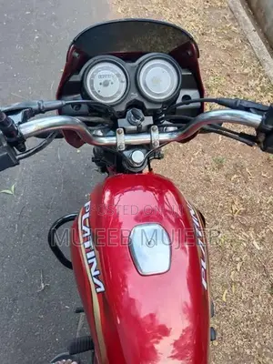 Bajaj Platina 125 2010