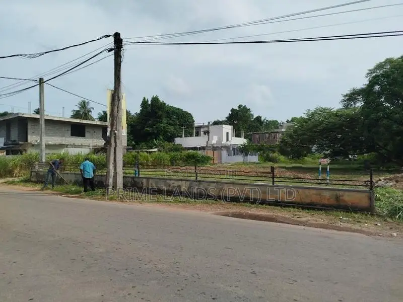පිලියන්දල මඩපාත බස් පාරට මුහුනලා බිම් කොටසක් විකිණීමට