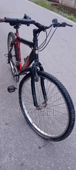 Lumala Bicycle