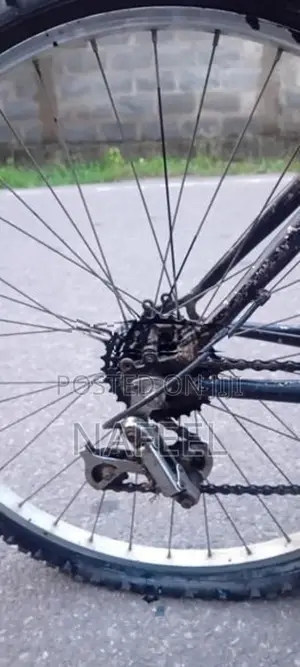 Lumala Bicycle