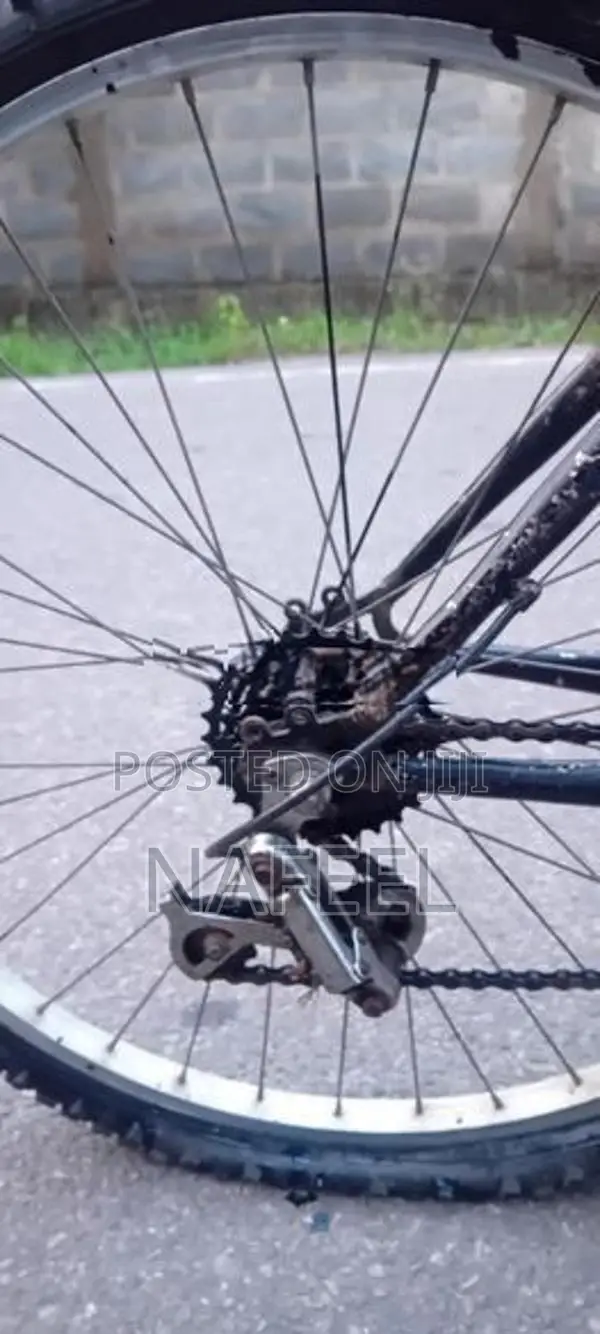 Lumala Bicycle