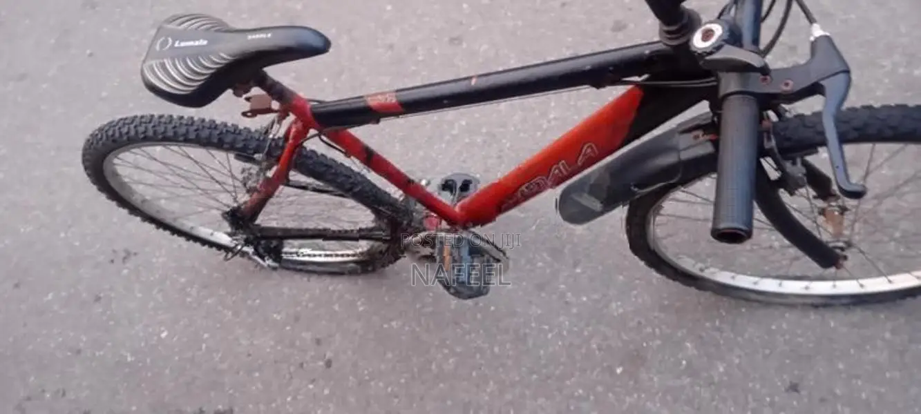 Lumala Bicycle