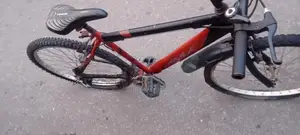 Lumala Bicycle