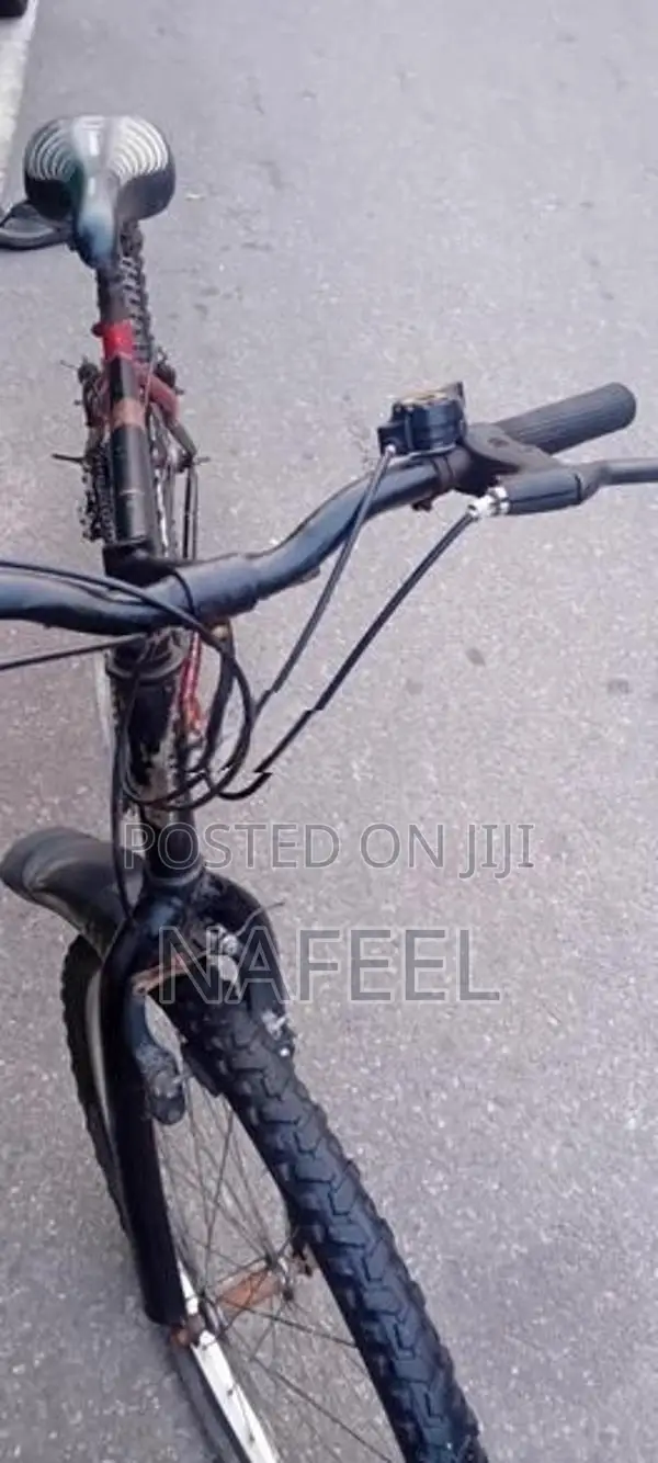 Lumala Bicycle