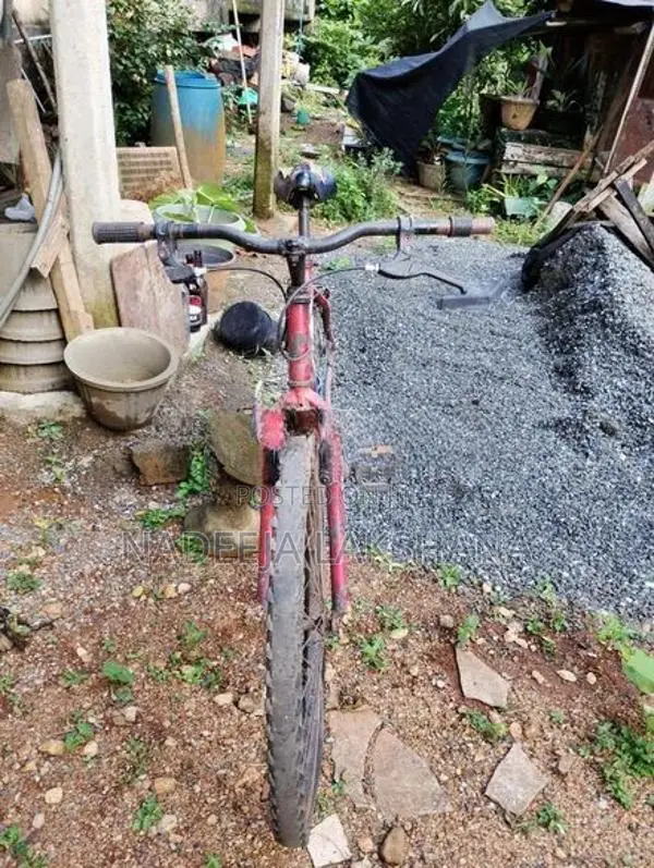 Dsi Bike
