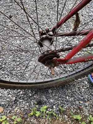 Dsi Bike