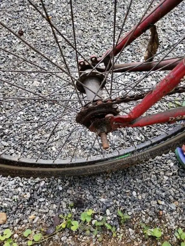 Dsi Bike