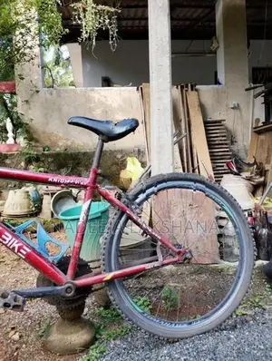 Dsi Bike