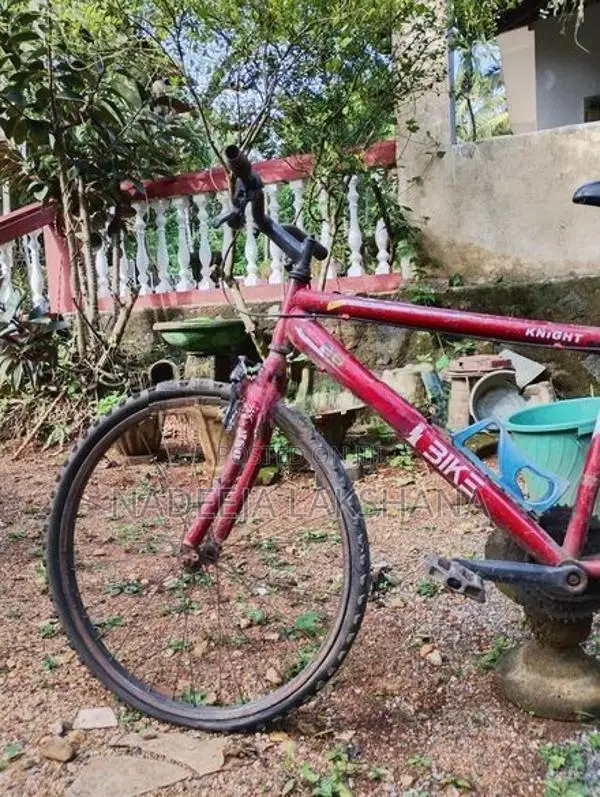 Dsi Bike