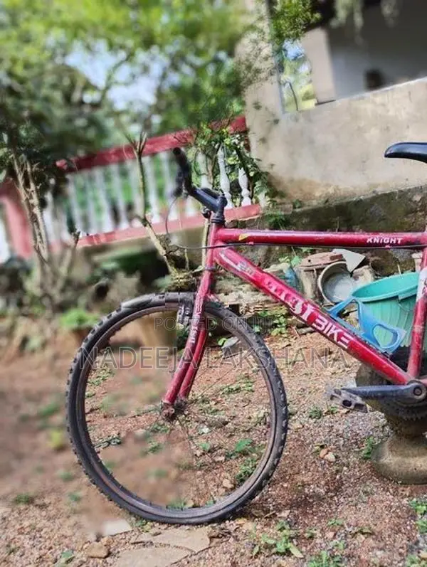 Dsi Bike