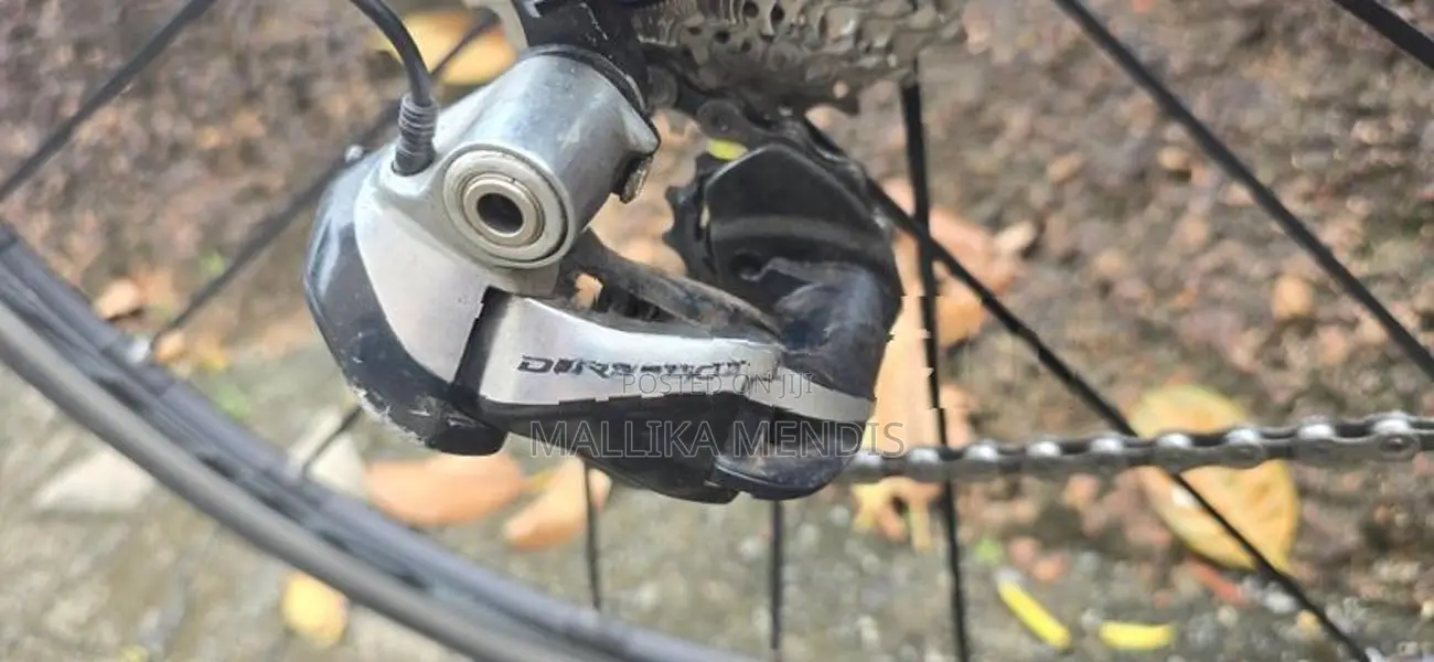 Pinarello Dogma
