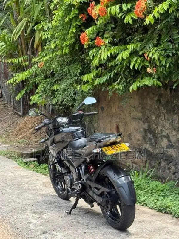 Bajaj Pulsar NS200 2020
