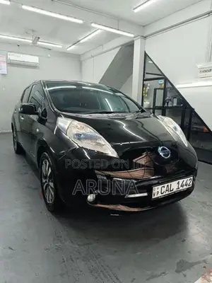 Nissan Leaf 2014