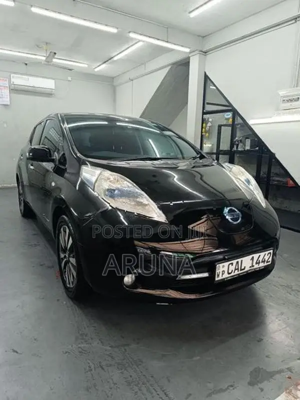 Nissan Leaf 2014