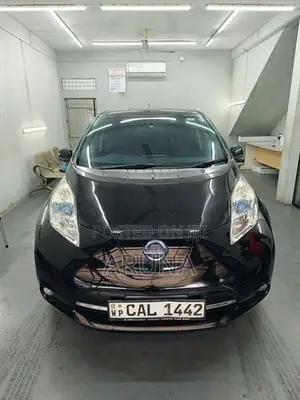 Nissan Leaf 2014