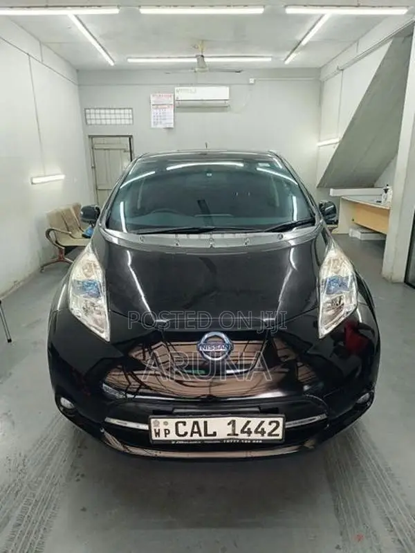 Nissan Leaf 2014