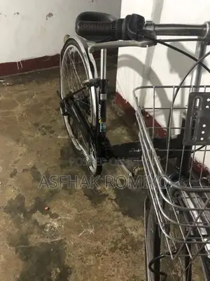 ஜப்பான் Cycle