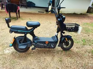 Yadea E Bike 2026