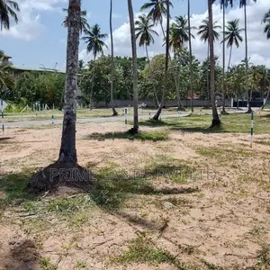 පැල්ලන්දෙණිය හන්දියෙන් ඉඩමක්