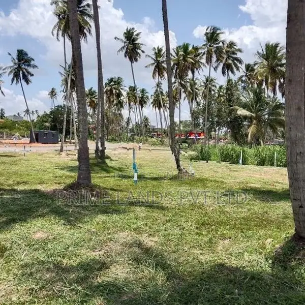 පැල්ලන්දෙණිය හන්දියෙන් ඉඩමක්