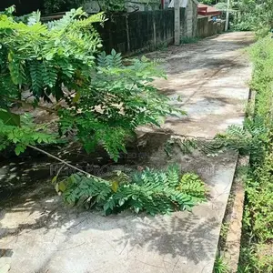 (CPS1015)පර්චස් 102ක කොටස් කල සම්පූර්ණ ඉඩම විකිනීමට